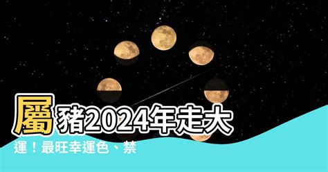 豬的幸運色|2024屬豬幾歲、2024屬豬運勢、屬豬幸運色、財位、禁忌